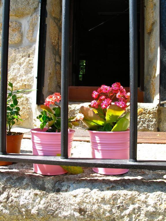 Готель Casa Dos Moinhos Do Chao Do Mosteiro Сан-Педру-ду-Сул Номер фото